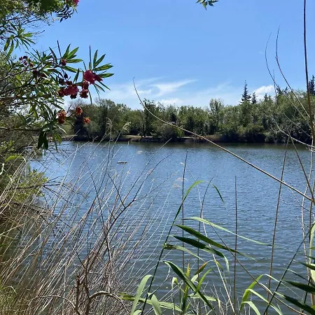 2 Pieces Avec Terrasse, Piscine, Parking Prive Et Proche A Saint-aygulf - Fr-1-226a-87 アパート